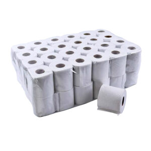 Toilet Paper 300 Sheets Recycled 48's